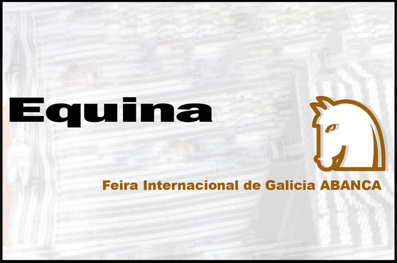 EQUINA SILLEDA