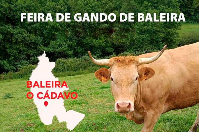 FEIRA DE GANDO DE BALEIRA