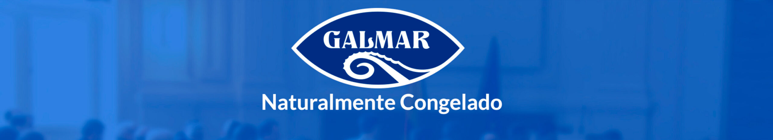 banner GALMAR