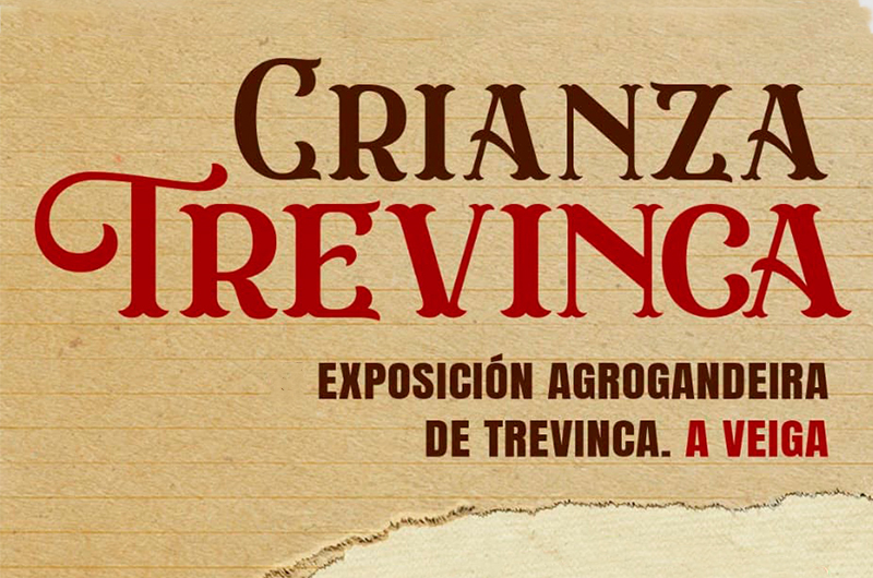 CRIANZA TREVINCA, A VEIGA