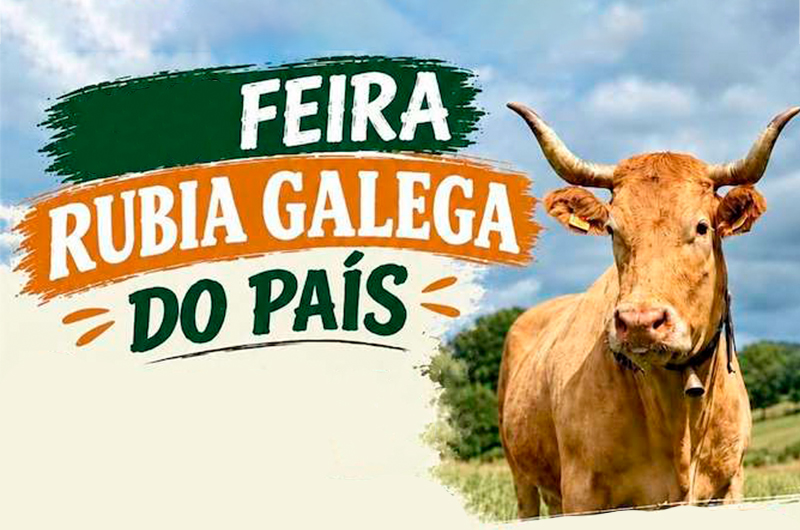 FEIRA RUBIA GALEGA DO PÁIS, RODEIRO