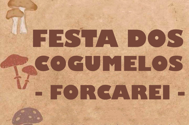 FESTA DOS COGUMELOS, FORCAREI